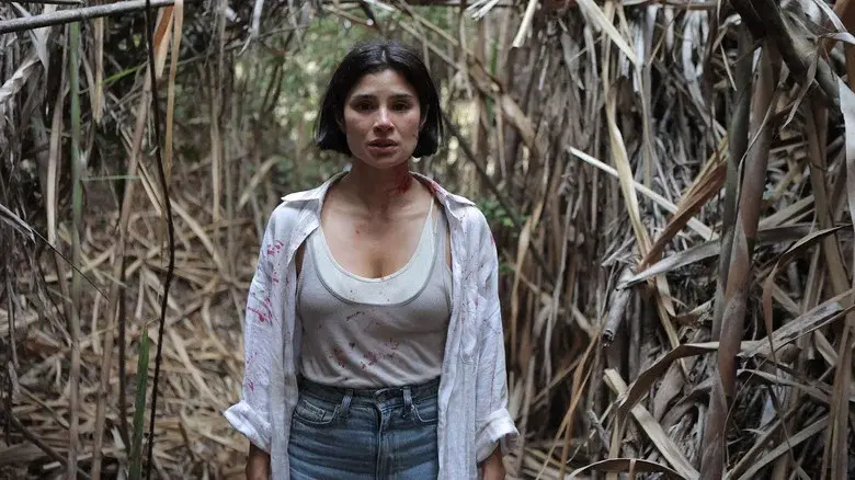 The Whistler movie still 1